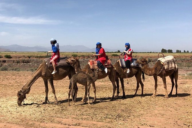 Berber Villages 3 Valleys & Camel Ride Atlas Mountains Day Trip - Tour Overview