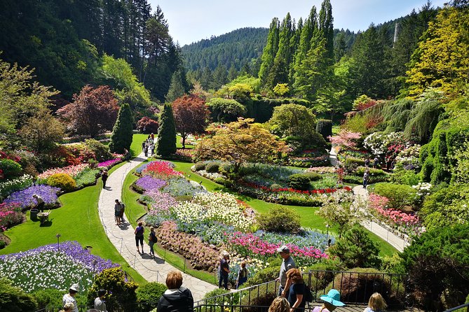 Best of Butchart Gardens City Highlights Private Tour - Personalized Victoria Experience