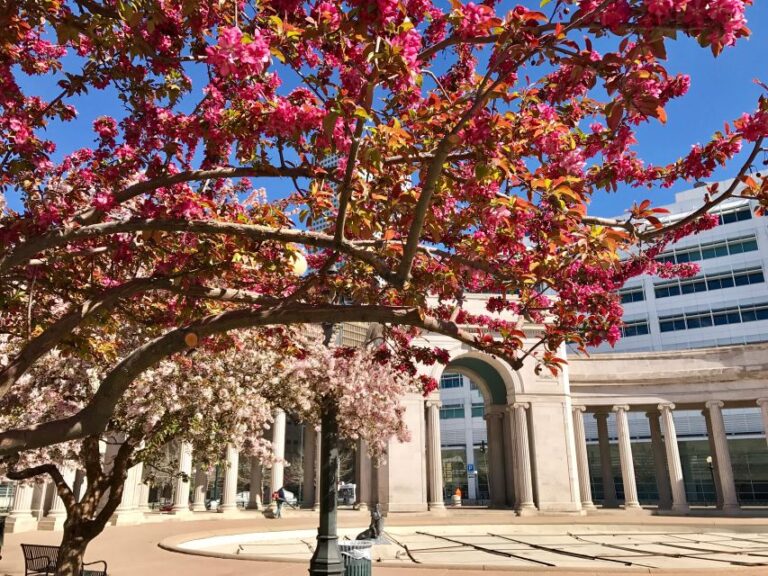 Best Of Denver Walking Tour Tour Overview