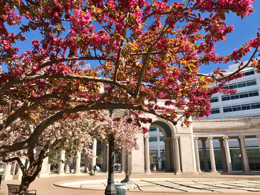 Best of Denver Walking Tour - Tour Overview