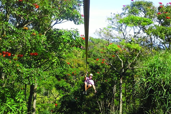 Big Island Zipline Adventure Overview And Experience