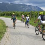 Bike And Wine In Vipava Valley Discovering Local Wines And Cuisine