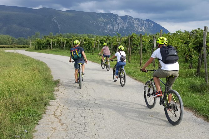 Bike And Wine In Vipava Valley Discovering Local Wines And Cuisine