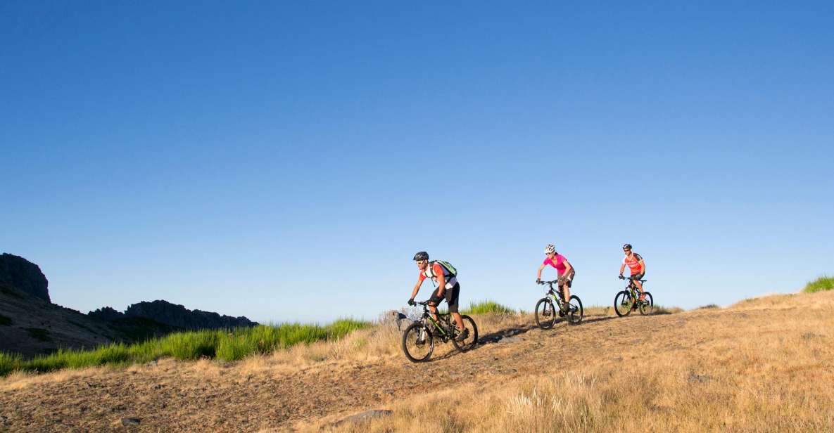 BIKE TOUR - BOTANICAL LEVELS OF MADEIRA, TRAIL EXPERIENCE - Overview of the Bike Tour