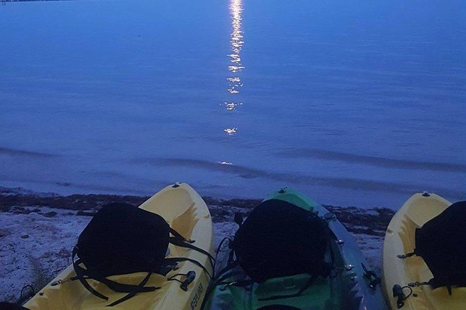 Bioluminescence Night Kayaking Tour of Merritt Island Wildlife Refuge - Tour Overview and Experience