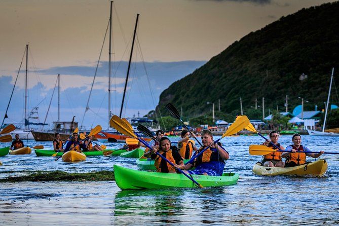 Bioluminescent Night Kayaking With Transport From San Juan - Inclusions and Features