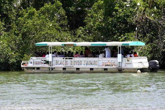 Black River Safari Tour From Montego Bay Activities Included