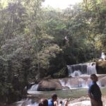 Black River Safari, Ys Falls And Appleton Estate Tour Overview