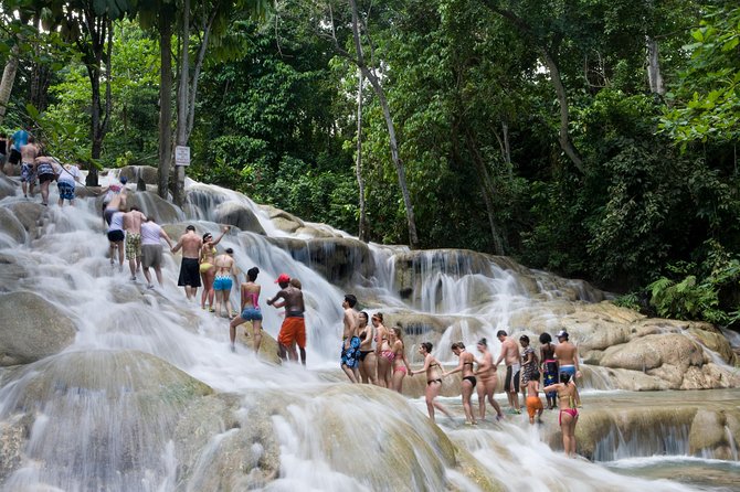 Blue Hole Secret Falls and Dunn's River Falls Private Tour - Itinerary Highlights