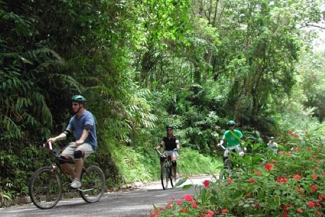 Blue Mountain Bicycle Hike & Bike Tour From Runaway Bay - Pricing and Inclusions