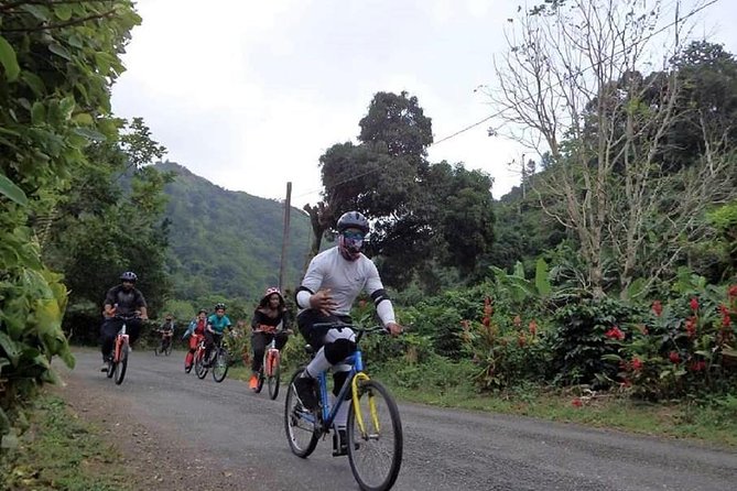 Blue Mountain Bicycle Tour From Ocho Rios - Tour Overview