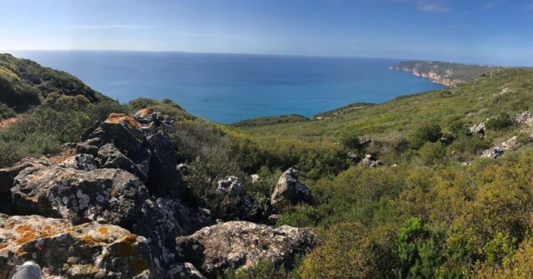 Boat Trip And Jeep Tour With Lunch In Arrábida Activity Overview