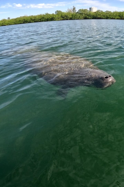 Bradenton: Guided Pedal Kayak Tour - Tour Overview