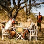 Bush Lunch In The Wild In Serengeti & Tarangire National Parks Pricing And Booking