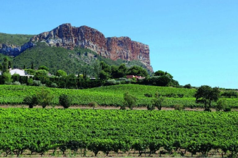 Calanques Of Cassis, Aix En Provence & Wine Tasting Day Tour Tour Overview