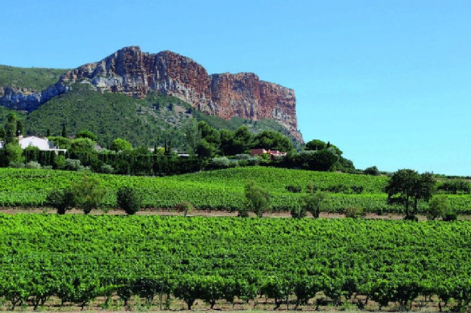 Calanques of Cassis, Aix-en-Provence & Wine Tasting Day Tour - Tour Overview