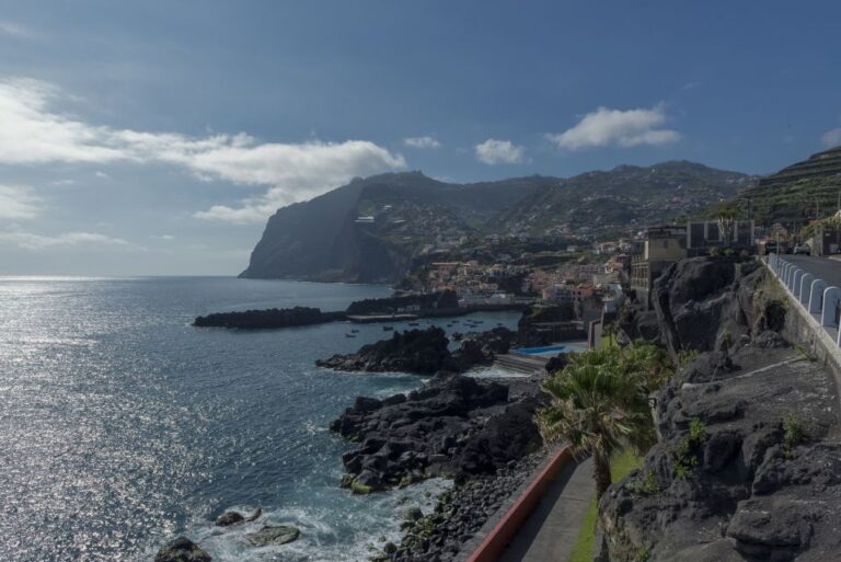 Camara De Lobos: 1.5 Hour Tour In A Tuk Tuk Tour Overview