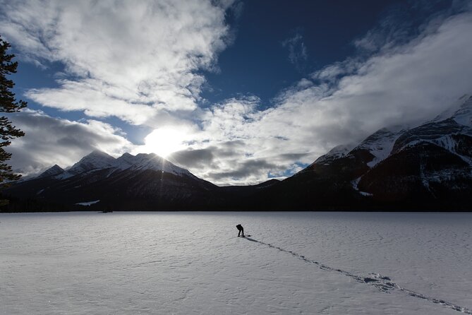 Canmore: Wilderness & Wildlife Hiking Tour - 3hrs - Overview of the Tour