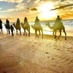 Cap Startel And Camel Ride In Achakkar Beach At Sunset With Bbq Location And Rating