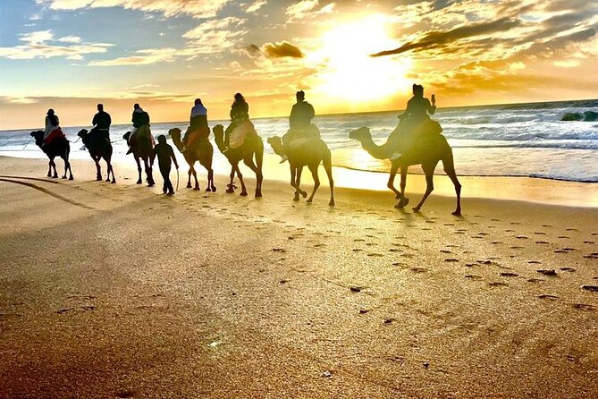 Cap Startel and Camel Ride in Achakkar Beach at Sunset With BBQ - Location and Rating