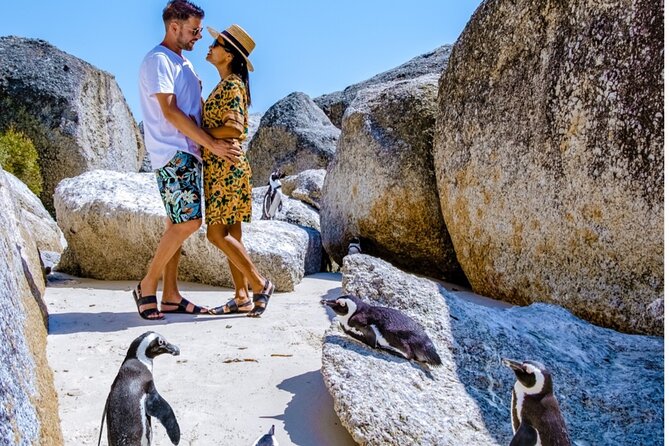 Cape of Good Hope & Penguins Small Group Tour From Cape Town - Included Features