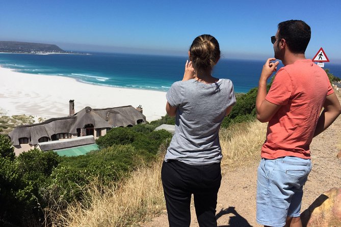 Cape Town Peninsula Day Tour ( Cape Point/Boulders/Wine Tasting) - Overview of the Tour