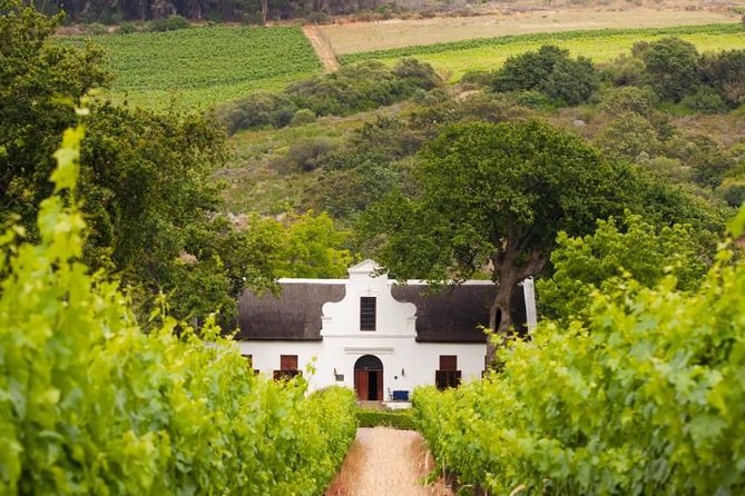 Cape Winelands and Wine Tasting Full Day Tour - Cancellation Policy