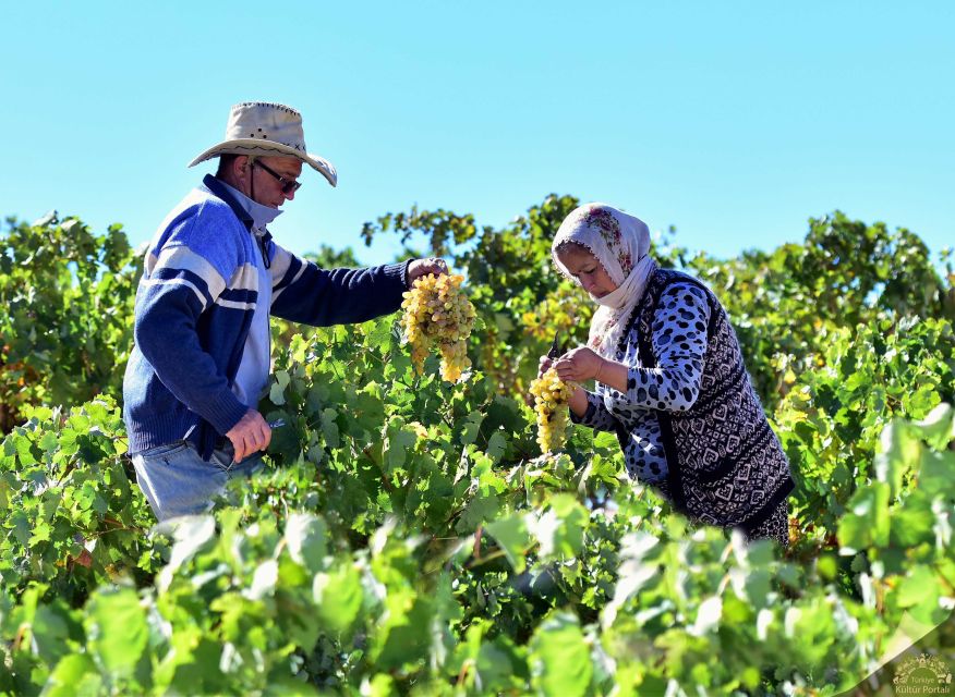 Cappadocia: Private Half-Day Vineyards & Wine Tasting Tour - Tour Overview