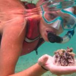 Cas Cay Kayak Hike And Snorkel Adventure Key Details