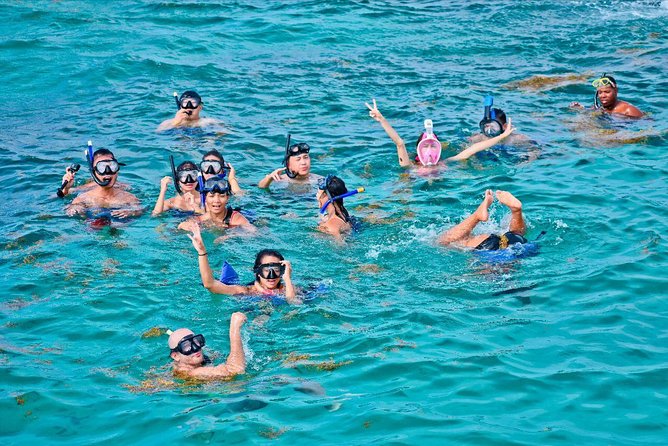 Catalina Island & Snorkling Tour Full Day All Inclusive - Included Activities