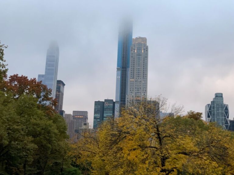 Central Park Horses Carriage Rides Activity Details