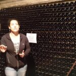 Champagne Lamiable: Traditional Tour & Tasting Tour Highlights