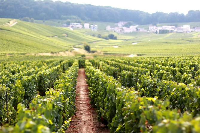 Champagne VIP Day Trip From Paris With Local PRIVATE Wine Expert Guide - Tour Overview