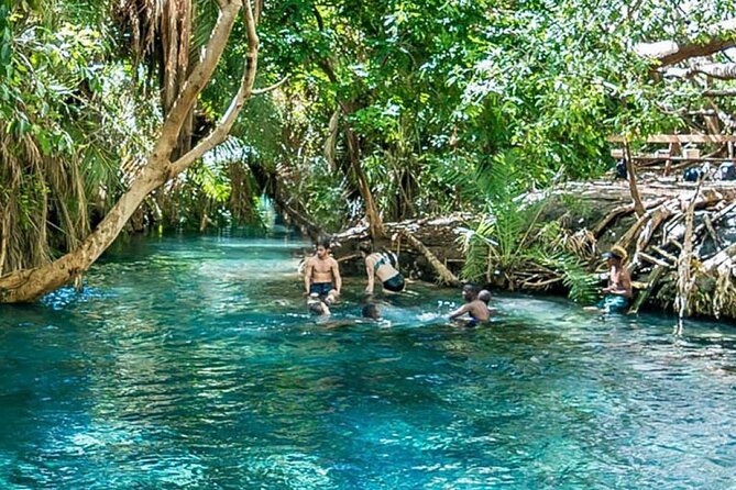 Chemka Hot Springs Tour From Moshi