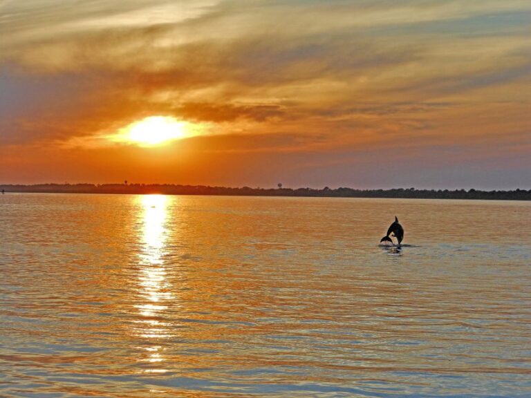 Chincoteague: Assateague Island Sunset Boat Cruise Activity Overview