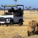 Chobe National Park 4x4 Day Safari And River Cruise Inclusions