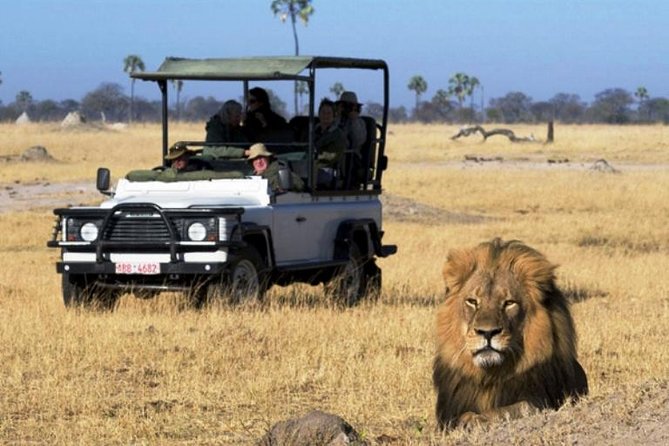 Chobe National Park 4X4 Day Safari and River Cruise - Inclusions