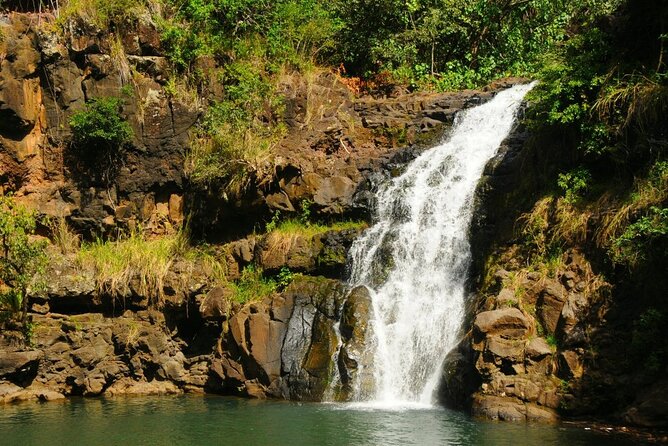 Circle Island Tour With Waimea Waterfall - Inclusions and Requirements