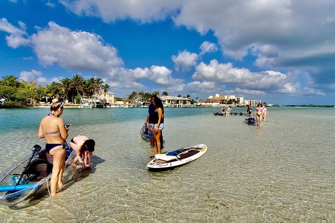 Clear Kayak Tour in Jupiter - Tour Overview