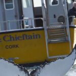 County Cork: Whale & Dolphin Watching Boat Trip Overview And Booking Information