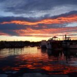 Crystal River: Manatee Viewing Cruise Overview And Pricing