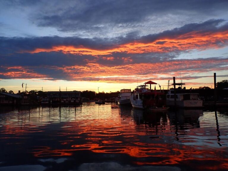 Crystal River: Manatee Viewing Cruise Overview And Pricing