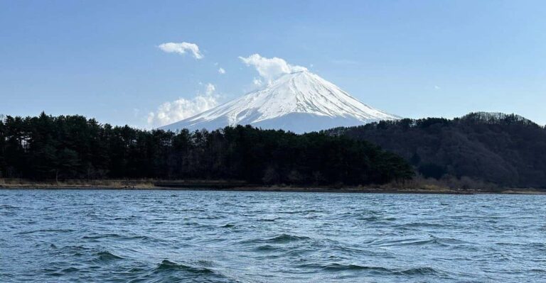 Customizable Mount Fuji Private Tour/ Eng Speaking Driver Tour Overview And Pricing