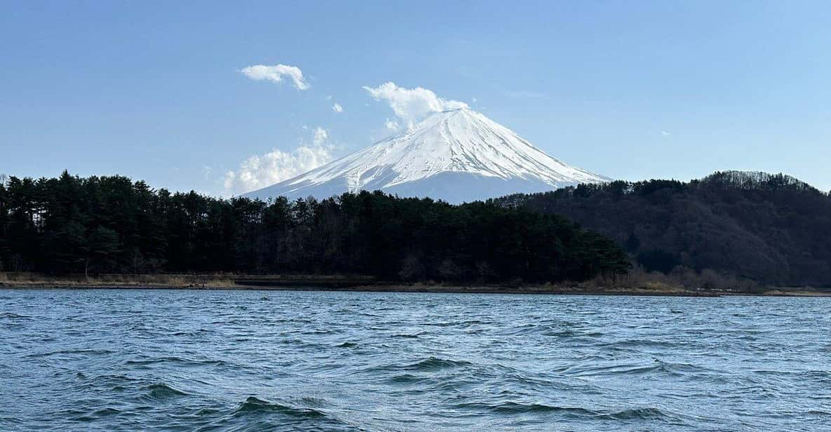 Customizable Mount Fuji Private Tour/ Eng Speaking Driver - Tour Overview and Pricing