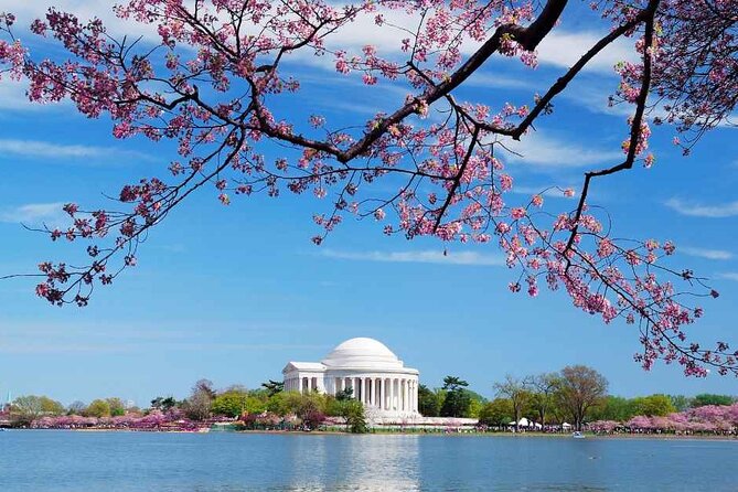 D.C. Cherry Blossoms: Escorted Bus Tour From Toronto - Tour Inclusions