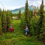 Denali Park Zipline Adventure Activity Overview