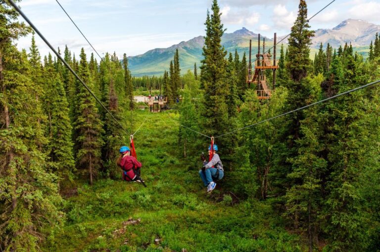 Denali Park Zipline Adventure Activity Overview