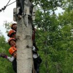 Denali Zipline Tour In Talkeetna, Ak Tour Overview And Experience