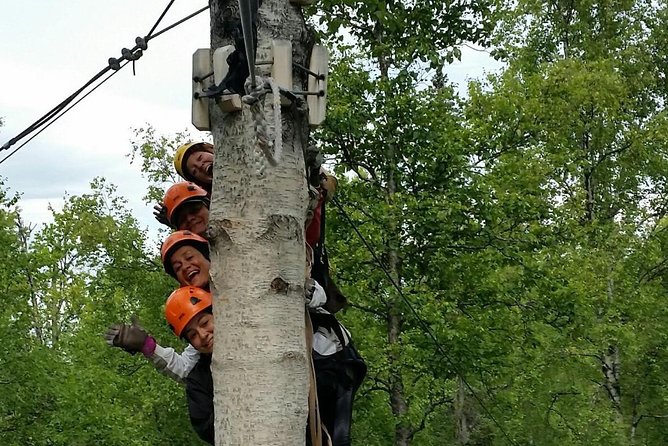 Denali Zipline Tour in Talkeetna, AK - Tour Overview and Experience