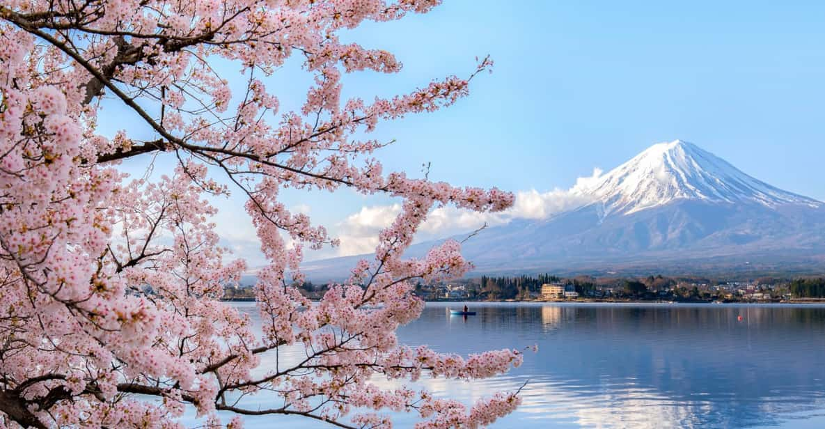 Discover Mount Fuji: Private Car/Van Day Tour From Tokyo - Exploration and Activities